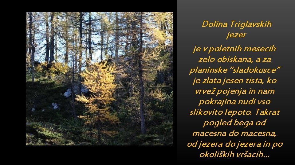 Dolina Triglavskih jezer je v poletnih mesecih zelo obiskana, a za planinske “sladokusce” je