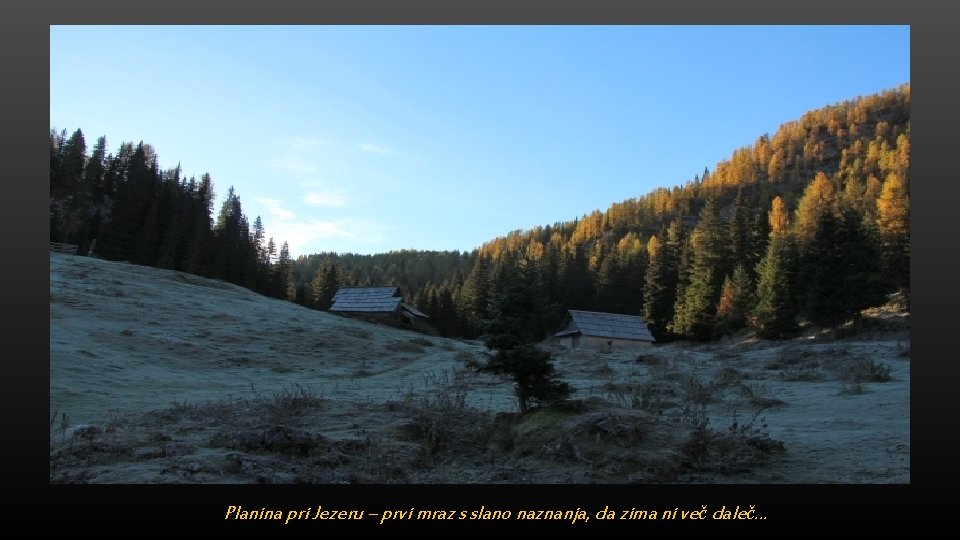 Planina pri Jezeru – prvi mraz s slano naznanja, da zima ni več daleč…
