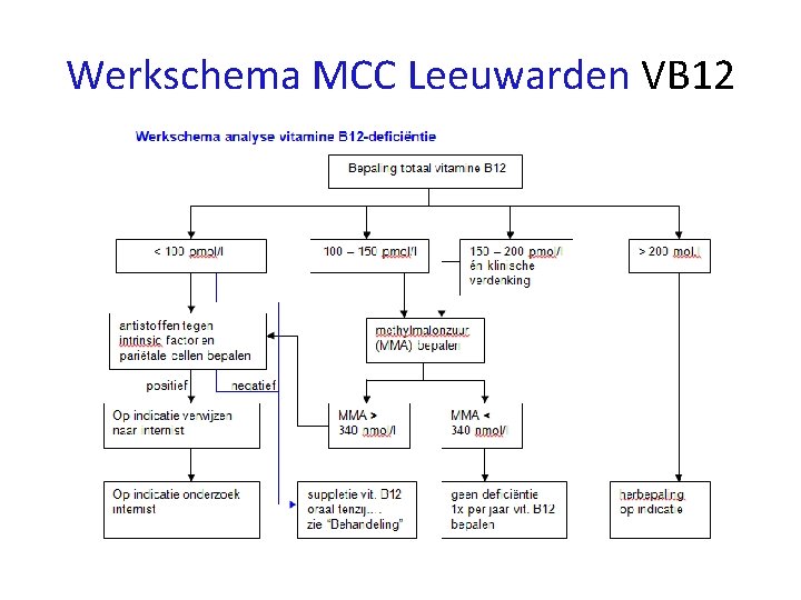 Werkschema MCC Leeuwarden VB 12 