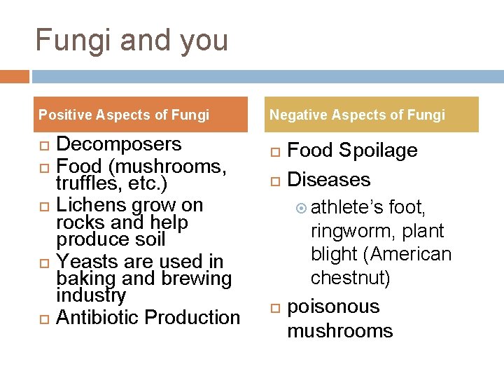 Fungi and you Positive Aspects of Fungi Decomposers Food (mushrooms, truffles, etc. ) Lichens