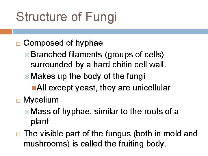 Structure of Fungi Composed of hyphae Branched filaments (groups of cells) surrounded by a