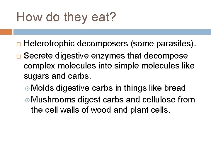 How do they eat? Heterotrophic decomposers (some parasites). Secrete digestive enzymes that decompose complex