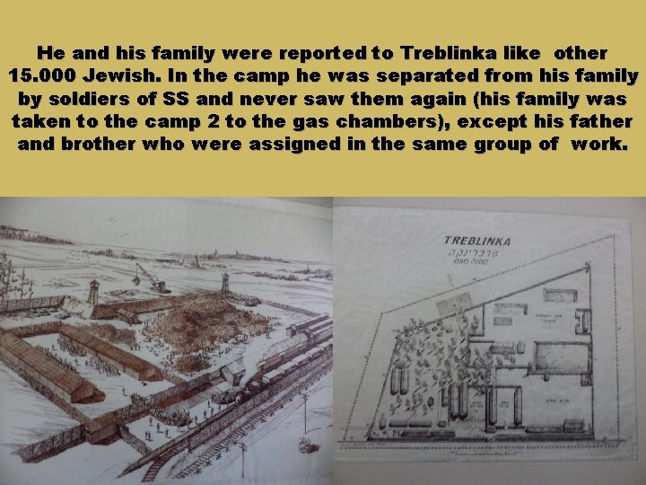 He and his family were reported to Treblinka like other 15. 000 Jewish. In