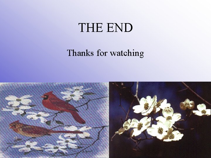 THE END Thanks for watching 