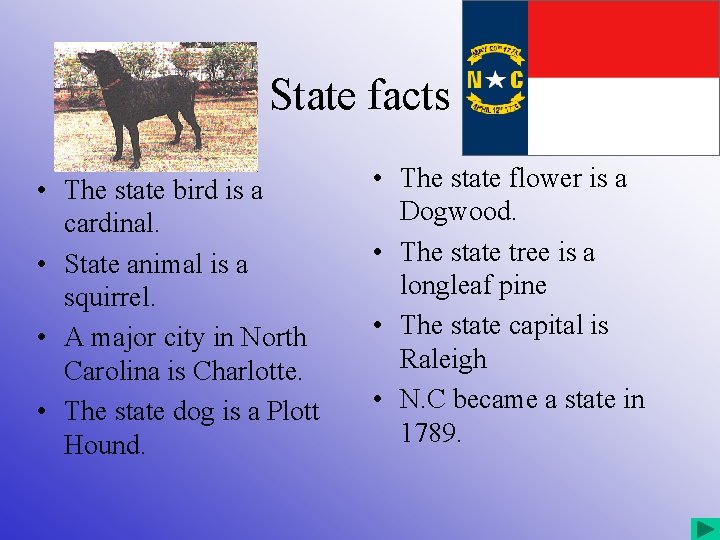 State facts • The state bird is a cardinal. • State animal is a