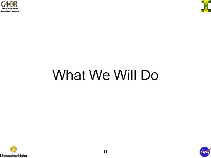 What We Will Do 11 
