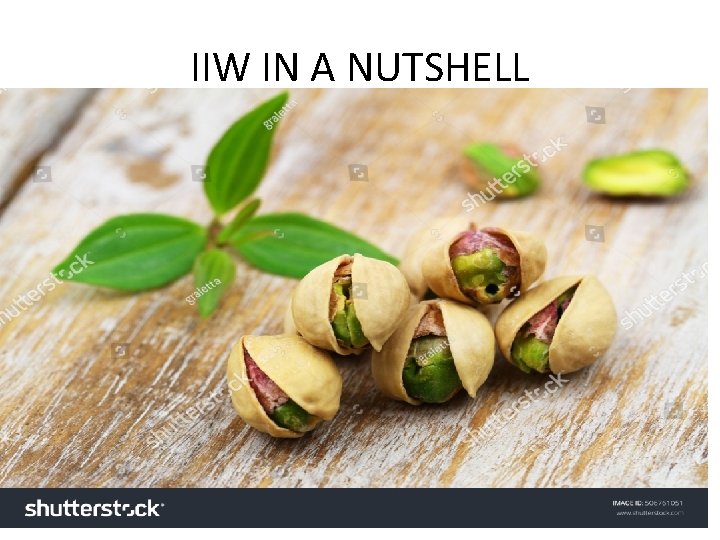 IIW IN A NUTSHELL 
