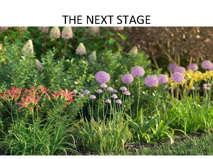 THE NEXT STAGE 
