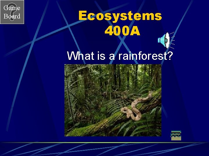 Game Board Ecosystems 400 A What is a rainforest? 