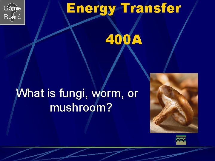 Game Board Energy Transfer 400 A What is fungi, worm, or mushroom? 