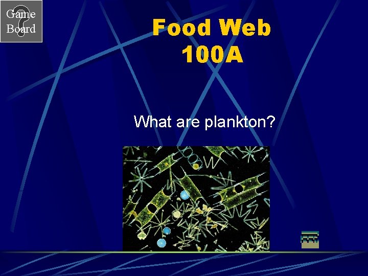 Game Board Food Web 100 A What are plankton? 