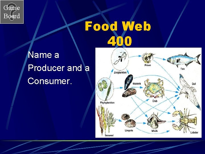 Game Board Food Web 400 Name a Producer and a Consumer. Answer 