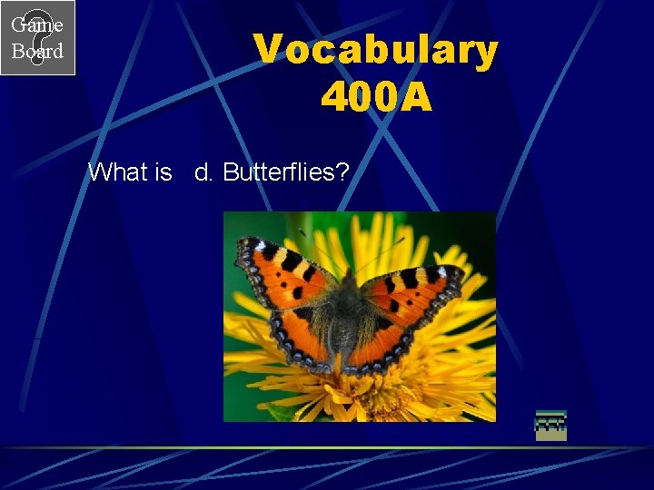Game Board Vocabulary 400 A What is d. Butterflies? 