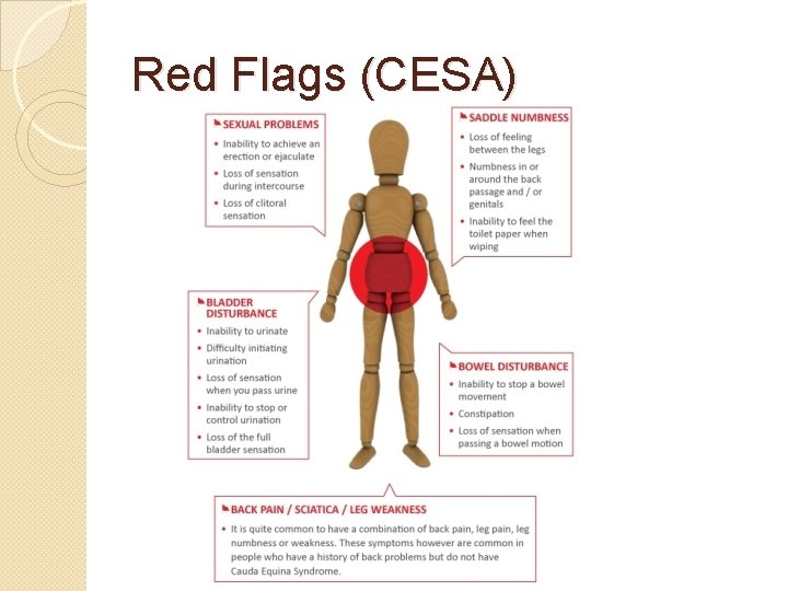 Red Flags (CESA) 