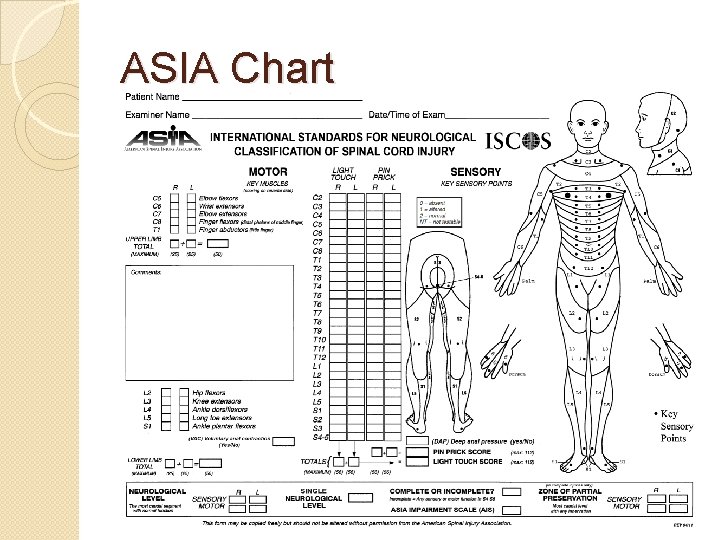 ASIA Chart 