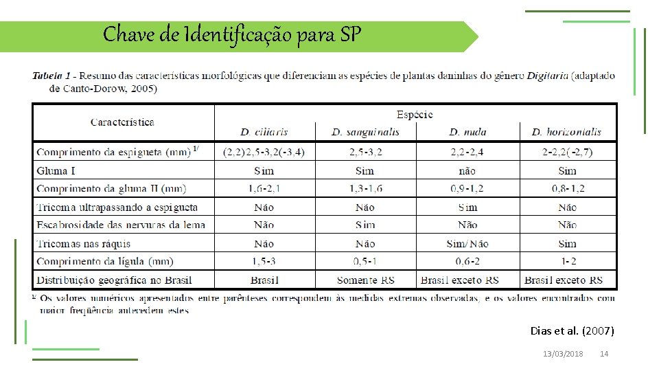 Chave de Identificação para SP Dias et al. (2007) 13/03/2018 14 