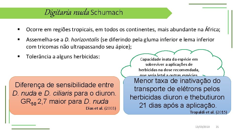 Digitaria nuda Schumach § Ocorre em regiões tropicais, em todos os continentes, mais abundante