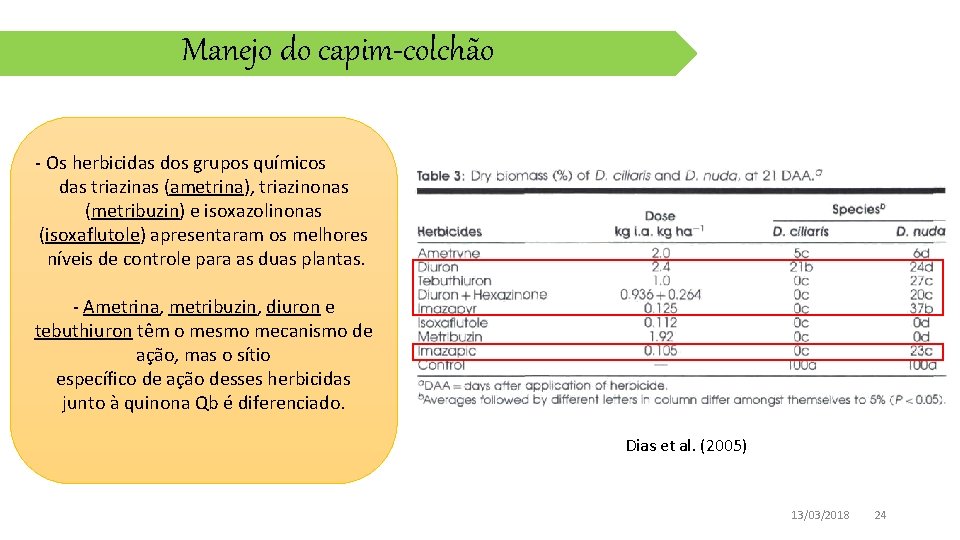 Manejo do capim-colchão - Os herbicidas dos grupos químicos das triazinas (ametrina), triazinonas (metribuzin)