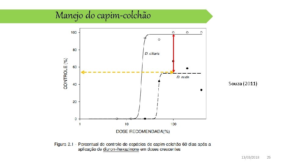 Manejo do capim-colchão Souza (2011) 13/03/2018 25 