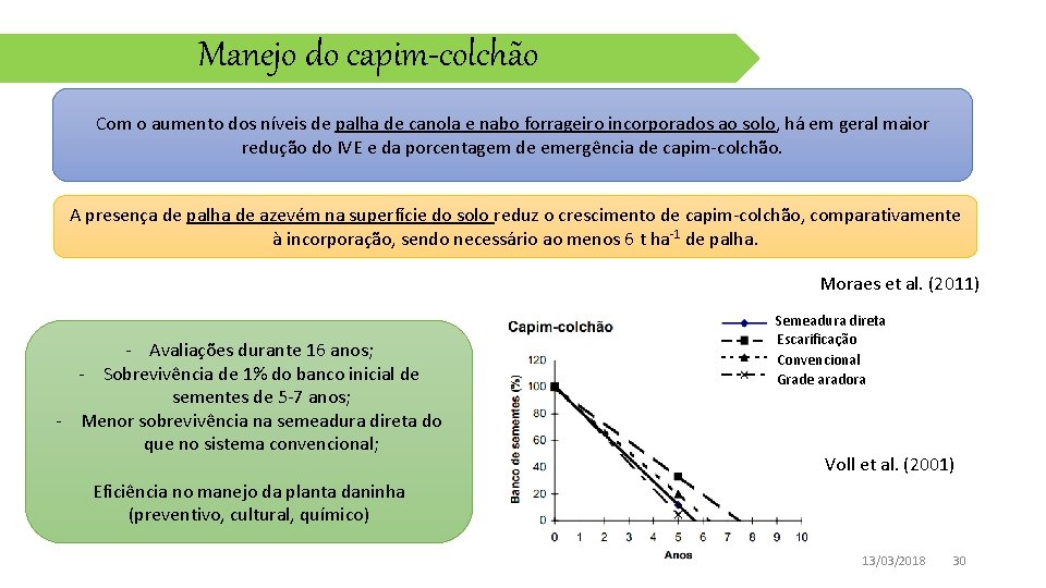 Manejo do capim-colchão Com o aumento dos níveis de palha de canola e nabo