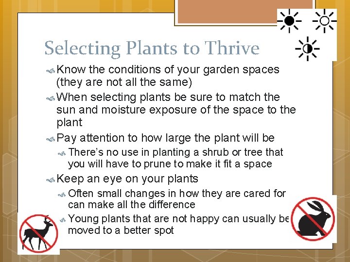 Selecting Plants to Thrive Know the conditions of your garden spaces (they are not