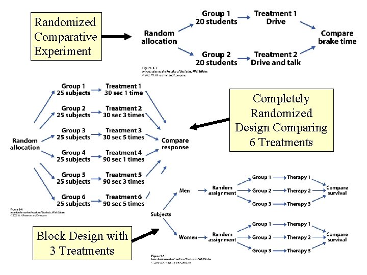 Randomized Comparative Experiment Completely Randomized Design Comparing 6 Treatments Block Design with 3 Treatments