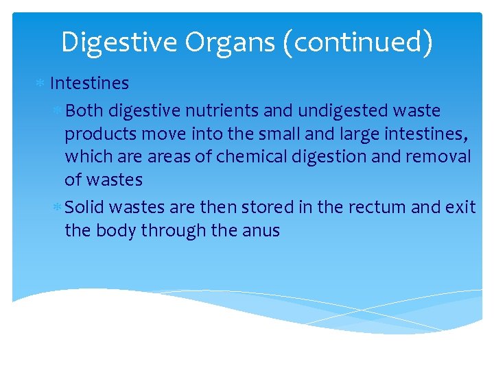 Digestive Organs (continued) Intestines Both digestive nutrients and undigested waste products move into the