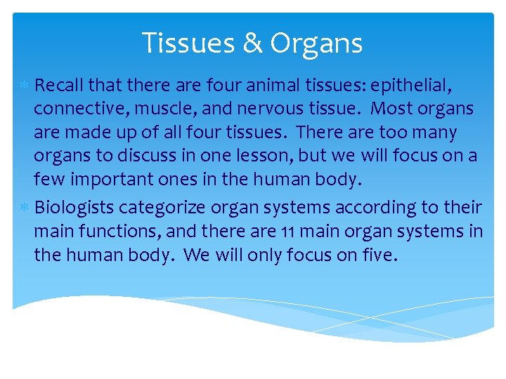 Tissues & Organs Recall that there are four animal tissues: epithelial, connective, muscle, and