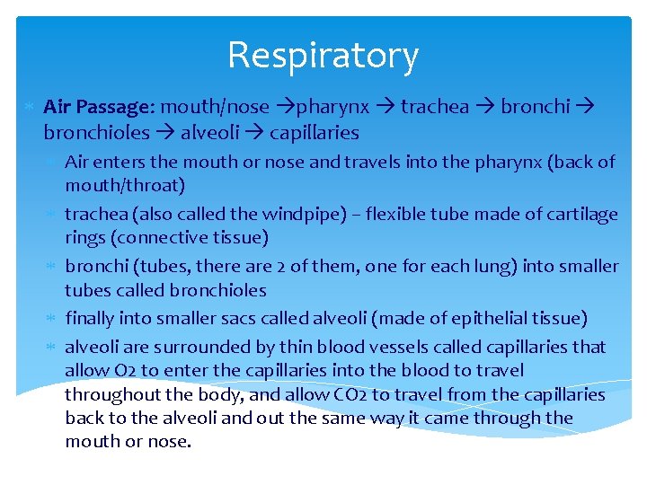 Respiratory Air Passage: mouth/nose pharynx trachea bronchioles alveoli capillaries Air enters the mouth or