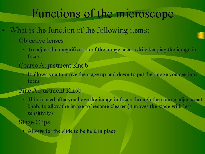 Functions of the microscope • What is the function of the following items: –