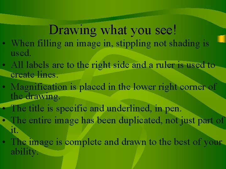 Drawing what you see! • When filling an image in, stippling not shading is