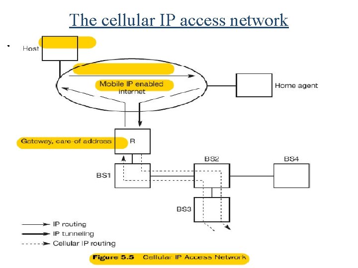 The cellular IP access network. 
