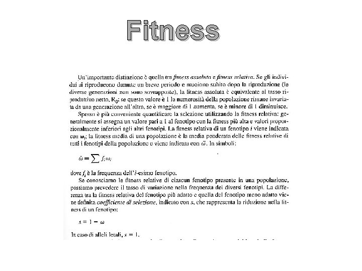 Fitness 