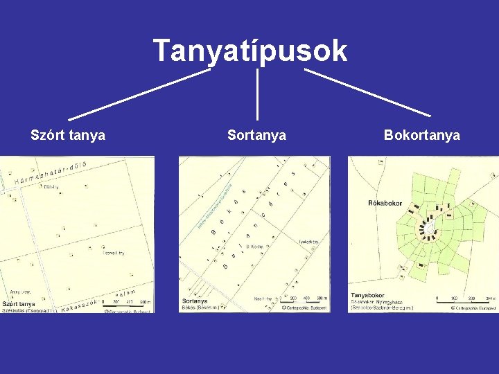 Tanyatípusok Szórt tanya Sortanya Bokortanya 