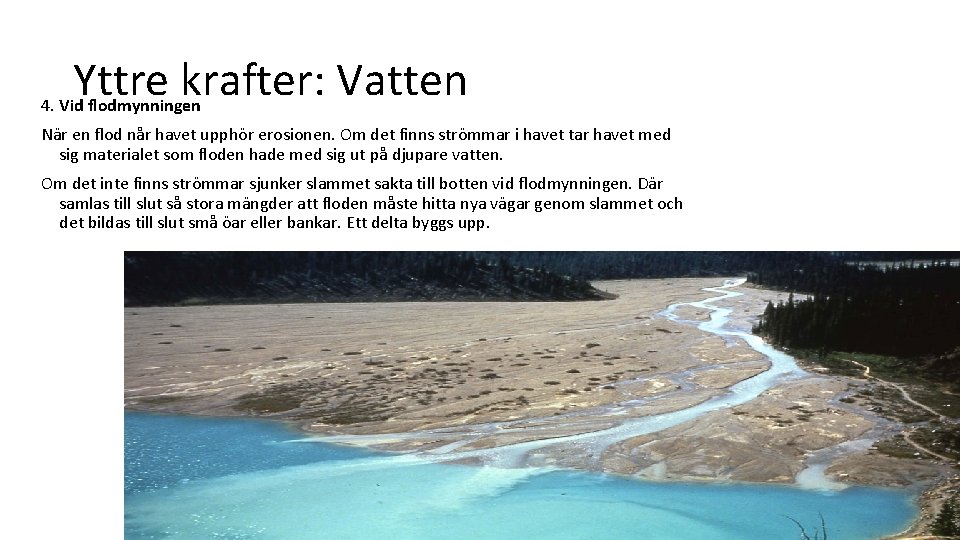 Yttre krafter: Vatten 4. Vid flodmynningen När en flod når havet upphör erosionen. Om