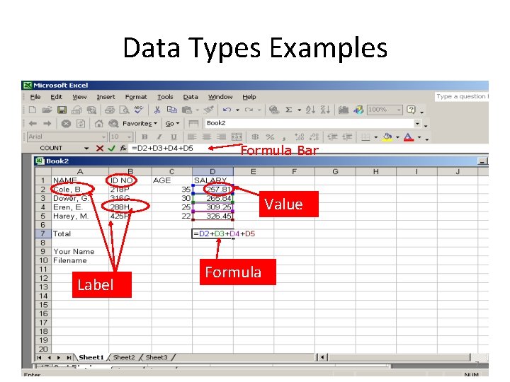 Data Types Examples Formula Bar Value Label Formula 7 