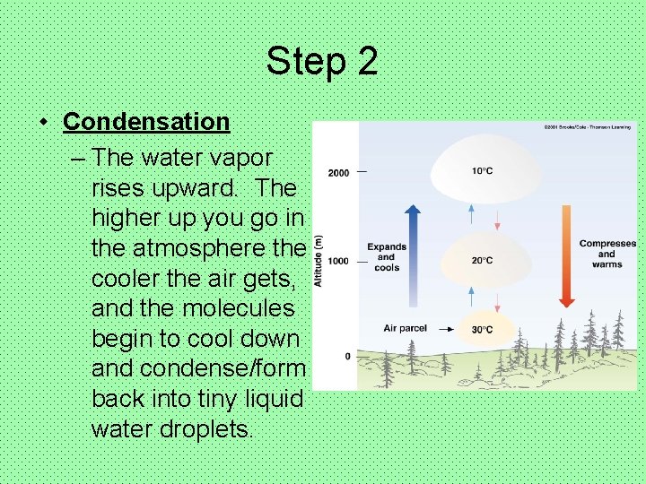 Step 2 • Condensation – The water vapor rises upward. The higher up you