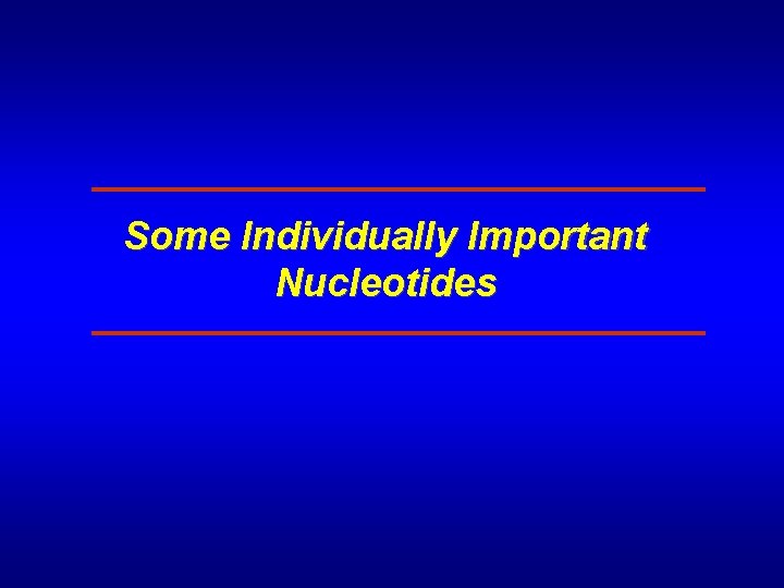 Some Individually Important Nucleotides 