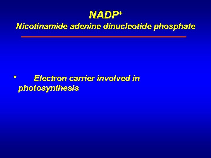 NADP+ Nicotinamide adenine dinucleotide phosphate * Electron carrier involved in photosynthesis 