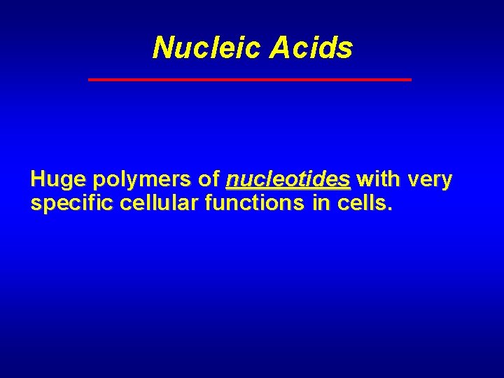 Nucleic Acids Huge polymers of nucleotides with very specific cellular functions in cells. 