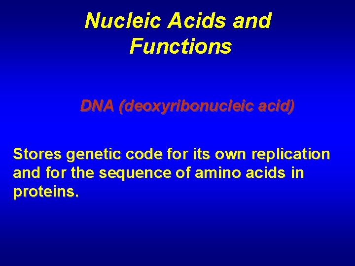 Nucleic Acids and Functions DNA (deoxyribonucleic acid) Stores genetic code for its own replication