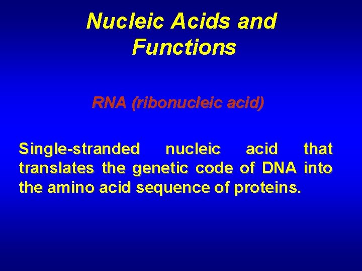 Nucleic Acids and Functions RNA (ribonucleic acid) Single-stranded nucleic acid that translates the genetic