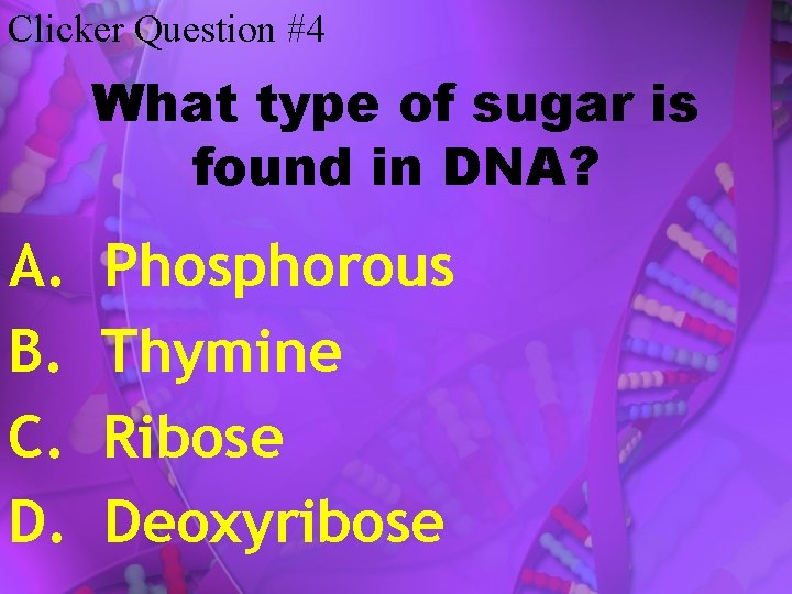 Clicker Question #4 What type of sugar is found in DNA? A. B. C.