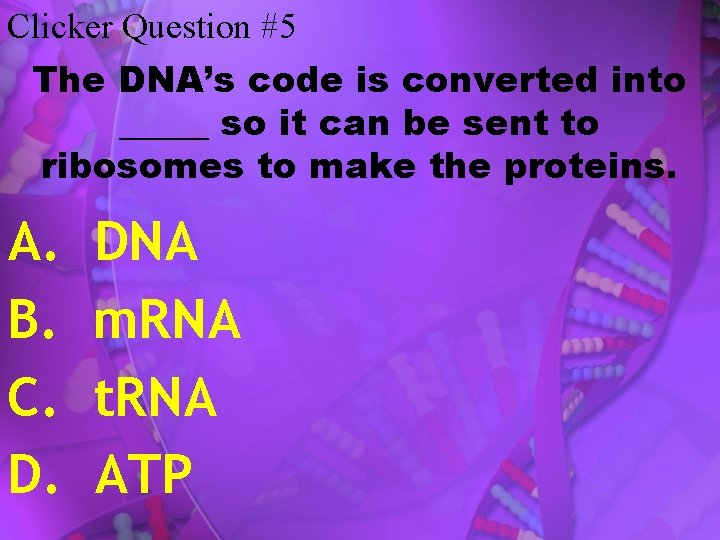 Clicker Question #5 The DNA’s code is converted into _____ so it can be