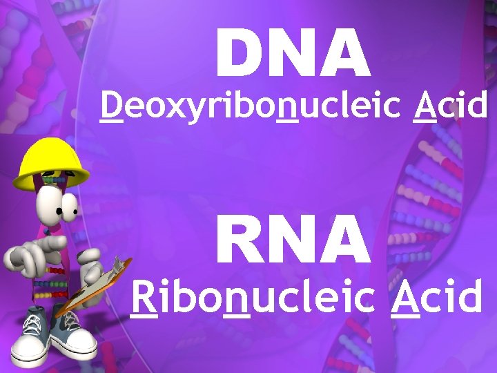 DNA Deoxyribonucleic Acid RNA Ribonucleic Acid 