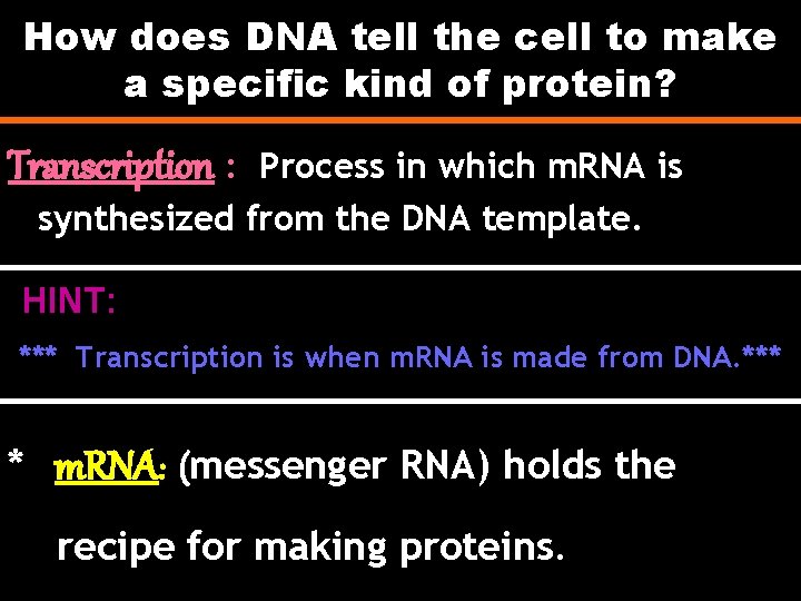 How does DNA tell the cell to make a specific kind of protein? Transcription