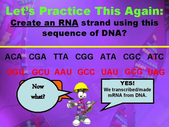 Let’s Practice This Again: Create an RNA strand using this sequence of DNA? ACA