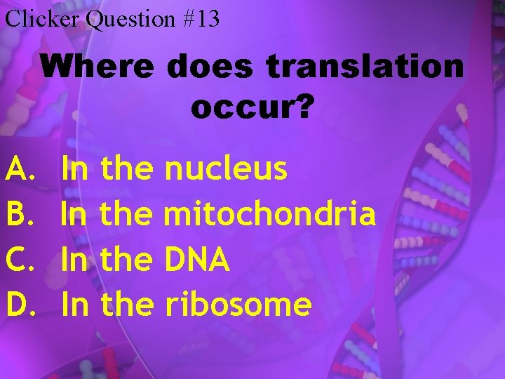 Clicker Question #13 Where does translation occur? A. B. C. D. In the nucleus