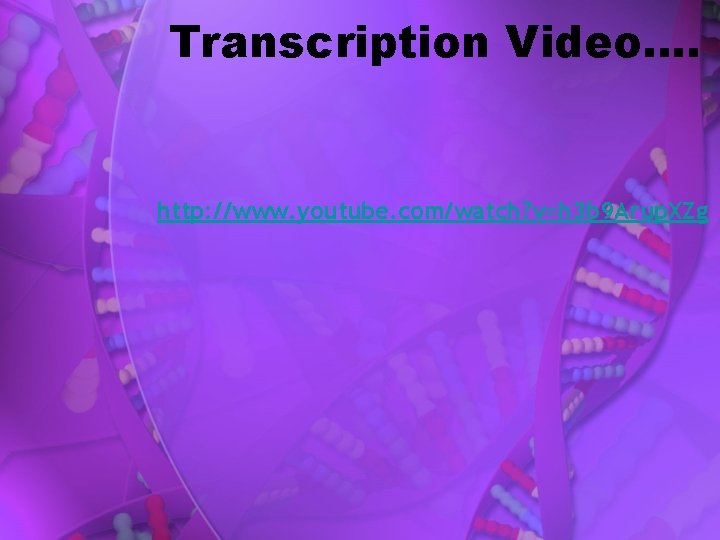 Transcription Video…. http: //www. youtube. com/watch? v=h 3 b 9 Arup. XZg 