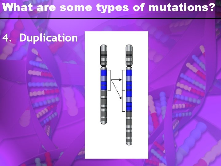 What are some types of mutations? 4. Duplication 